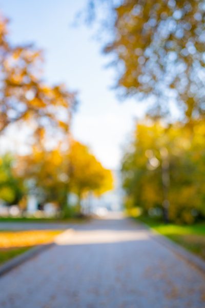 Blurred background of park in fall season. Bright autumn trees with falling yellow leaves in the park. Beautiful sunny autumn day. Autumn landscape in the city.